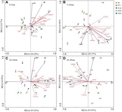 Inorganic Phosphorus Transformation and Phosphorus Adsorption–Desorption Properties of Soil in a Cotton Field Under Mulched Drip Irrigation in Xinjiang: A Four-Year Field Assessment